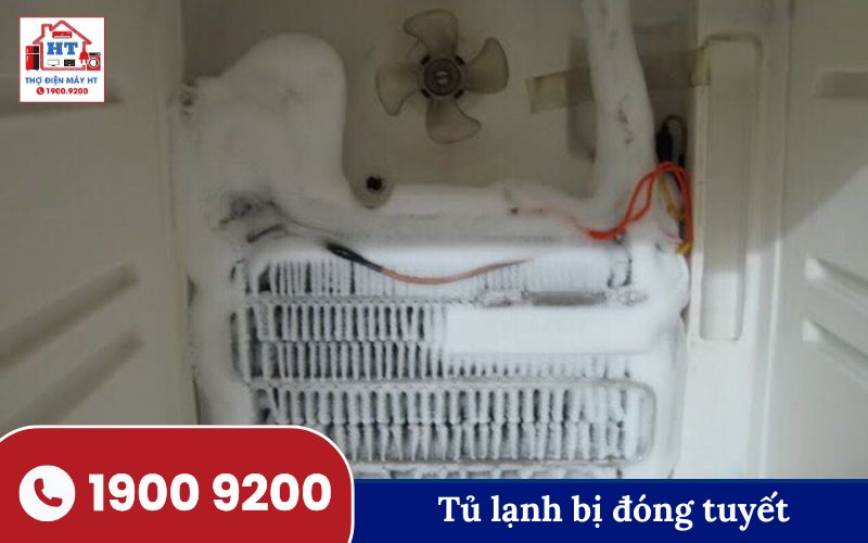 Nguyên nhân tủ lạnh hoạt động bất thường Tủ lạnh bị đóng tuyết dày đặc bên trong, nguyên nhân khiến tủ lạnh không lạnh.